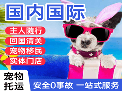 玉林福绵机场快运国际宠物托运 【国